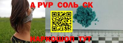 соль ск Новодвинск