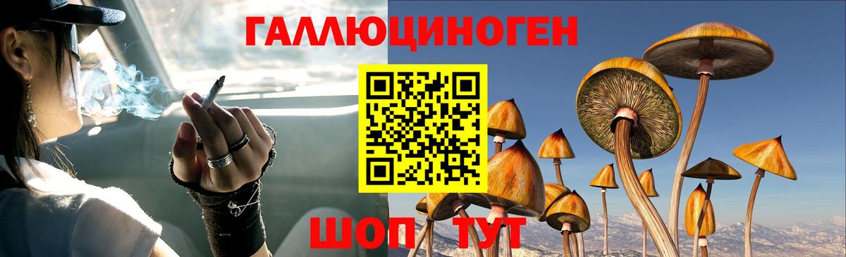 Псилоцибиновые грибы ЛСД Уварово